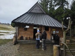 Kulig